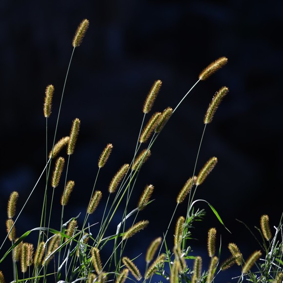 Meet your Posher, Joanne - Picture 1 of 1